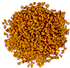 Fenugreek